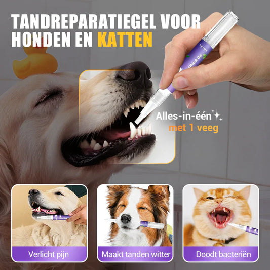 🐶Mondherstelgel voor Huisdieren