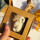 🐻Christmas Limited-Time Offer: 49% OFF!🎁Handmade Mini Plush Teddy Bear in Box