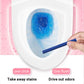 ✨Multifunctionele antibacteriële, geurverdrijvende toiletreinigingssticks🌈