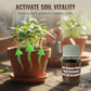 🌱 Universele plantwortelactivator en bodemverbeteraar 💪