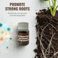 🌱 Universele plantwortelactivator en bodemverbeteraar 💪