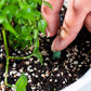 Langzame release planten mest sticks